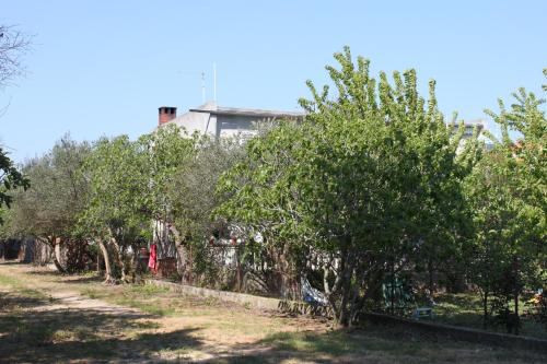 Family friendly seaside apartments Sukosan Zadar - 6133 - image 10