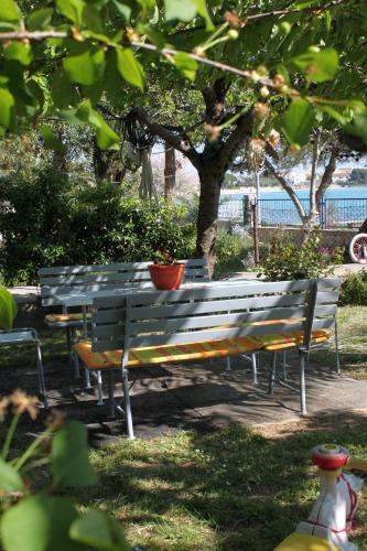 Family friendly seaside apartments Sukosan Zadar - 6133 - image 4