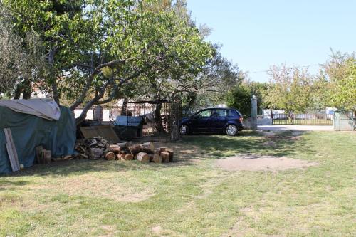 Family friendly seaside apartments Sukosan Zadar - 6133 - image 3