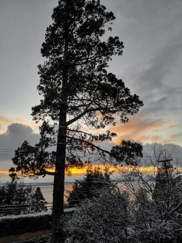 El Cencerro Bariloche - image 4