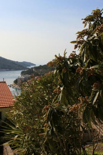 Apartments with a parking space Vela Luka Korcula - 7551 - image 8