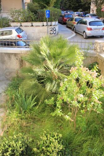 Apartments with WiFi Split - 7586 - image 9