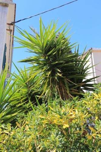 Apartments with WiFi Split - 7588 - image 9