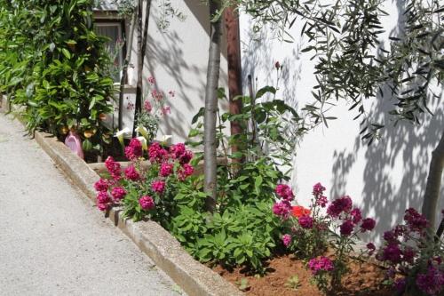 Apartments with a parking space Pula - 7647 - image 4