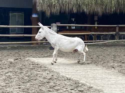 Rancho Ecoturistico el Faro