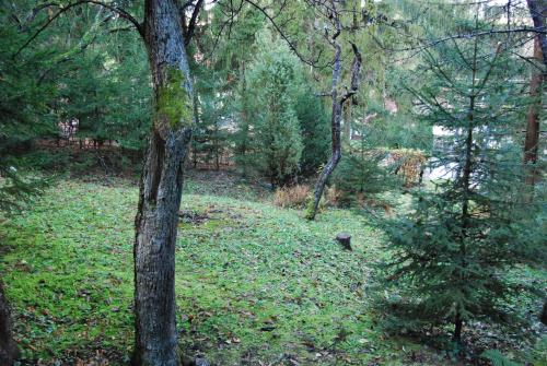 Boroka Apartmanhazak - Oreghaz in Velem