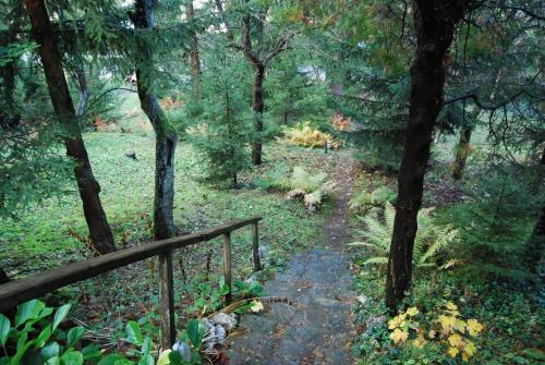Boroka Apartmanhazak - Oreghaz in Velem