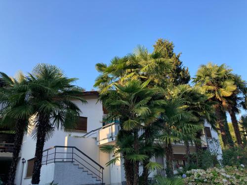 Palm-Topia in Ponte Cremenaga