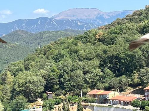 COMANEGRA in Castellfollit de la Roca