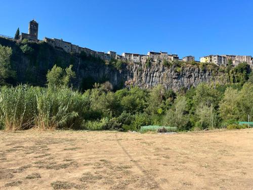 COMANEGRA in Castellfollit de la Roca