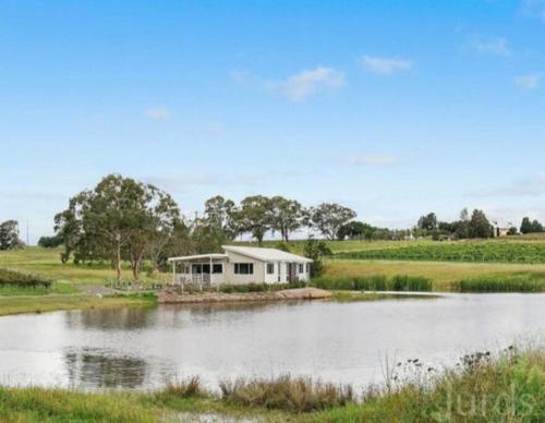 Lovedale Lakehouse Vineyard