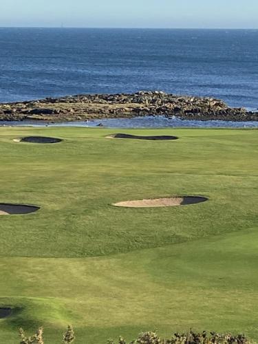 Balcomie Links Hotel - image 7