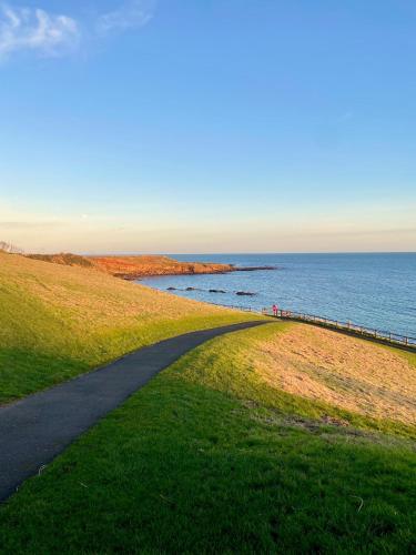 Balcomie Links Hotel - image 14