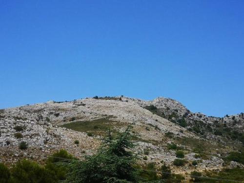 Le Cabanon de Gourdon bergerie rénové en pierre vue mer