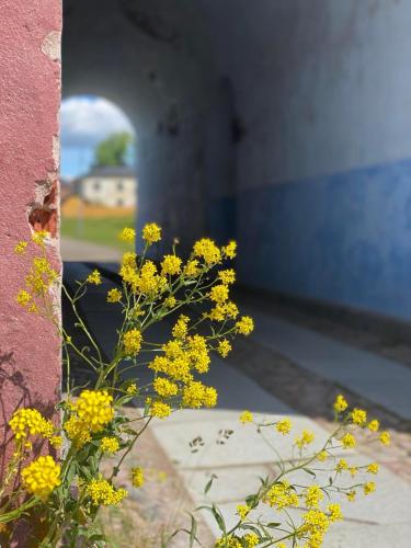 Hostel Suomenlinna - image 4