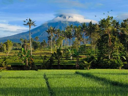 RUMAH @ Sawah Ijen