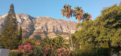 Apartment image 10