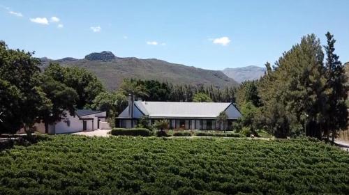 Lynx Wine Estate 2