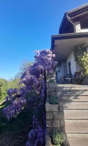 Al Picchio Verde A.P.S. chambre d'hôte Cugliate-Fabiasco