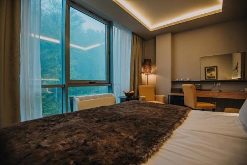 384542397 Balvanyos Resort - Peakture Hotel & Grand Hotel Balvanyos