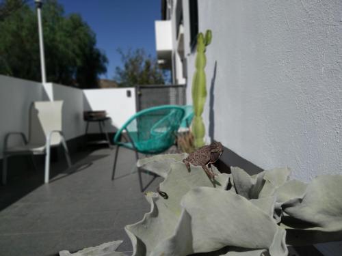  PiedraNegra, apartamento completo con patio, terraza y BBQ in Rodalquilar