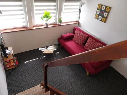 Seestern in Boltenhagen, Deutschland