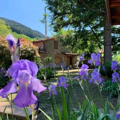 La Capannina gîte à louer Trappola