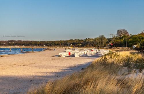 Ferienwohnung Düne mit Kamin und 2 Bädern in Boltenhagen