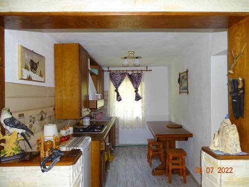 Cabana lui Foardă (Cabana lui Foarda) in Godeanu