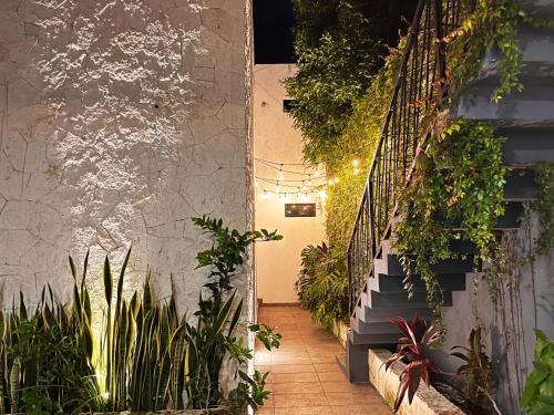 Létesítmények, HOTEL KOOKAY VALLADOLID in Sta Ana