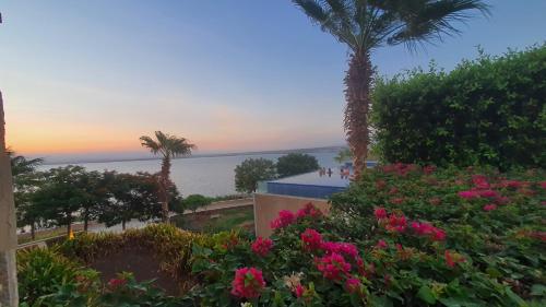 View, Comfy Stays Sea View Apartments at DeadSea Samarah Resort in Sowayma
