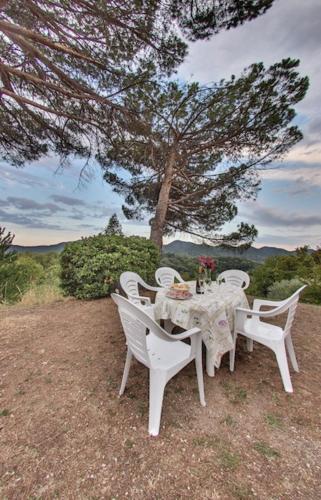 Apkārtne, Tenuta da Mosè con vista sui colli asolani (Tenuta da Mose con vista sui colli asolani) in Monfumo