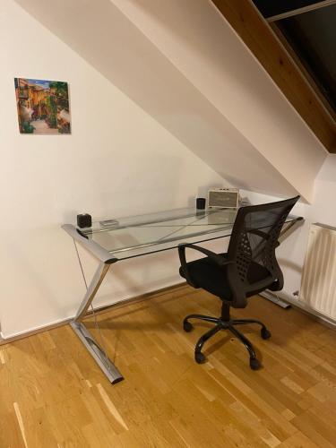 Klimatisiertes, Ruhiges Dachgeschoß CityApartment im Zentrum Wiens, Vídeň (fotografie 9)