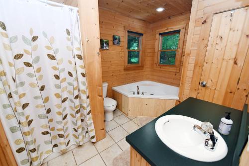 Private, nature, jetted tub, fire pit, easy access. Great family vacation property!