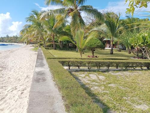 Заобикаляща среда, La Tiaré île aux Nattes (La Tiare ile aux Nattes) in Иле Сейнт Мари