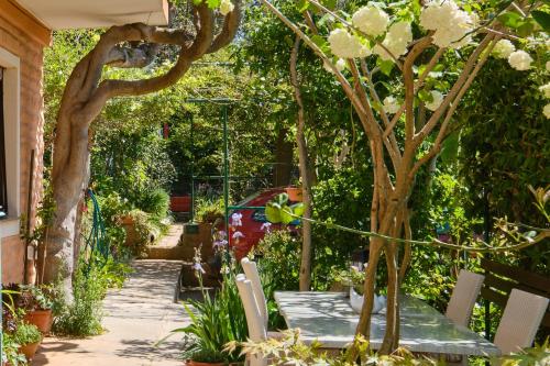 Apartments with a parking space Mali Losinj (Losinj) - 7972 - image 13