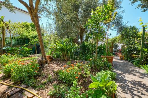 Apartments with a parking space Mali Losinj (Losinj) - 7972 - image 4