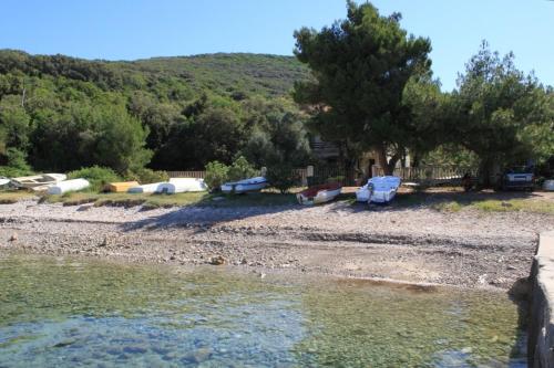 Apartments by the sea Cove Merascica Cres - 8071 Beli 