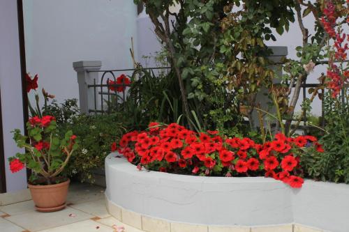 Rooms by the sea Moscenicka Draga Opatija - 7767 - image 2