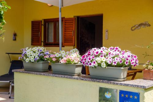 Apartments by the sea Artatore Losinj - 7952 - image 7