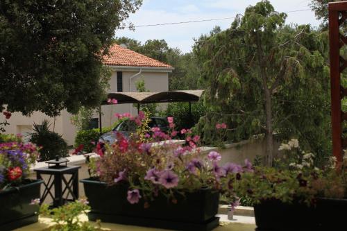 Apartments by the sea Artatore Losinj - 7952 - image 13