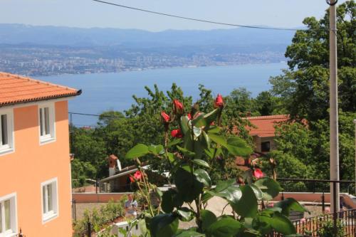 Holiday house with a parking space Opric, Opatija - 7714