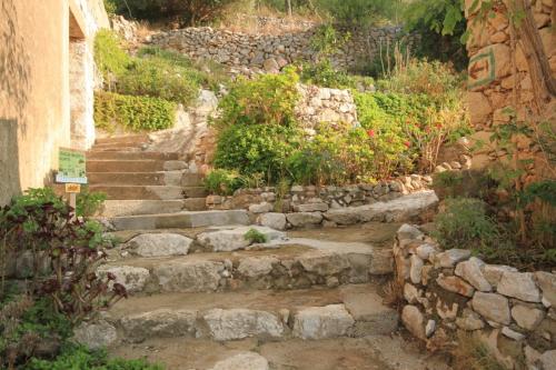 Holiday apartments Lastovo - 7790 - image 5