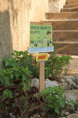 Holiday apartments Lastovo - 7790 - image 6
