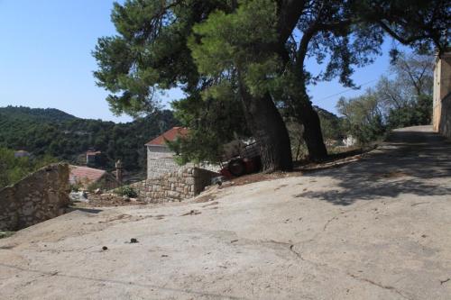 Holiday apartments Lastovo - 7790 - image 8