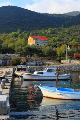  Apartments by the sea Kneza, Korcula - 9164, Pension in Pupnat