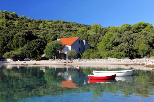 Seaside holiday house Cove Vrbovica bay - Vrbovica (Korcula) - 9223 - Location saisonnière - Korčula