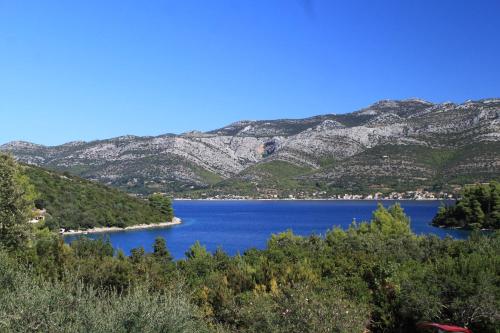 Apartments with a parking space Zrnovska Banja Korcula - 9226 - image 8