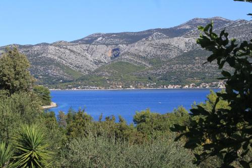 Apartments with a parking space Zrnovska Banja, Korcula - 9226