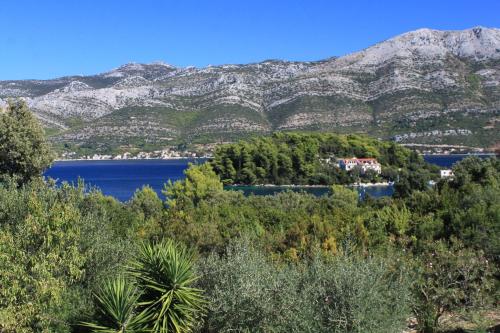 Apartments with a parking space Zrnovska Banja, Korcula - 9226